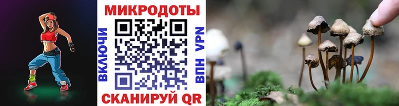 продажа наркотиков  Чебоксары  Псилоцибиновые грибы GOLDEN TEACHER 